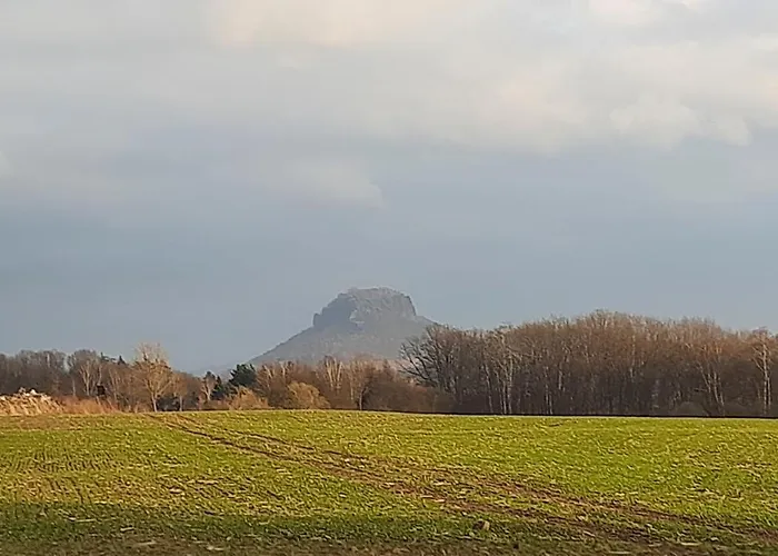 Apartment Altstadtgefluester *